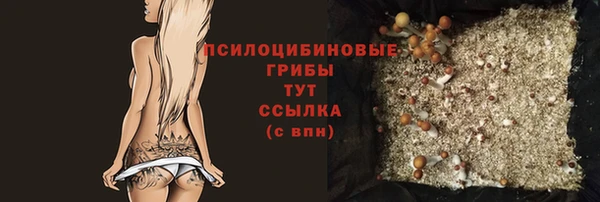 PSILOCYBIN Баксан