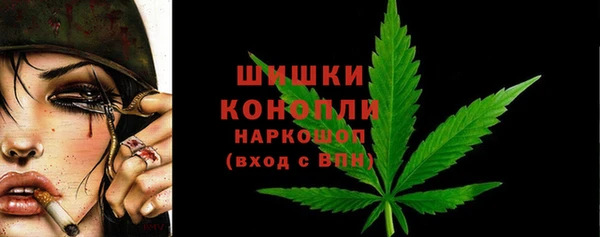 PSILOCYBIN Баксан