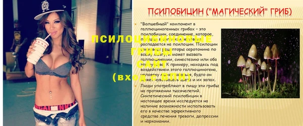 PSILOCYBIN Баксан