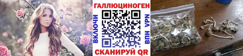 Псилоцибиновые грибы Cubensis  где купить наркотик  Радужный 